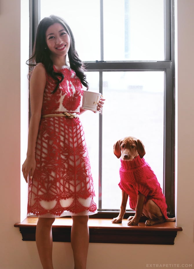 Anthropologie holiday dress petite1