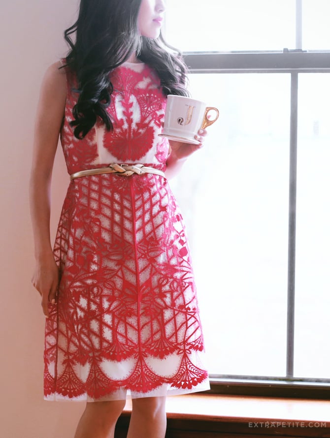 Anthropologie holiday dress petite3