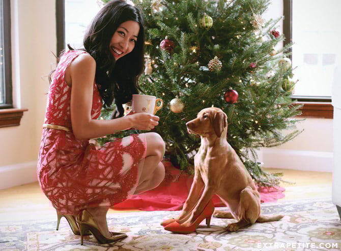 Anthropologie holiday dress petite