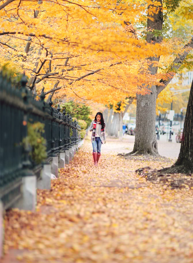 boston public garden fall foliage
