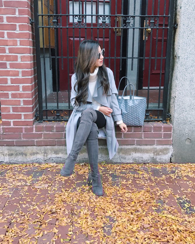 boston bay village gray goyard st louis pm tote winter outfit