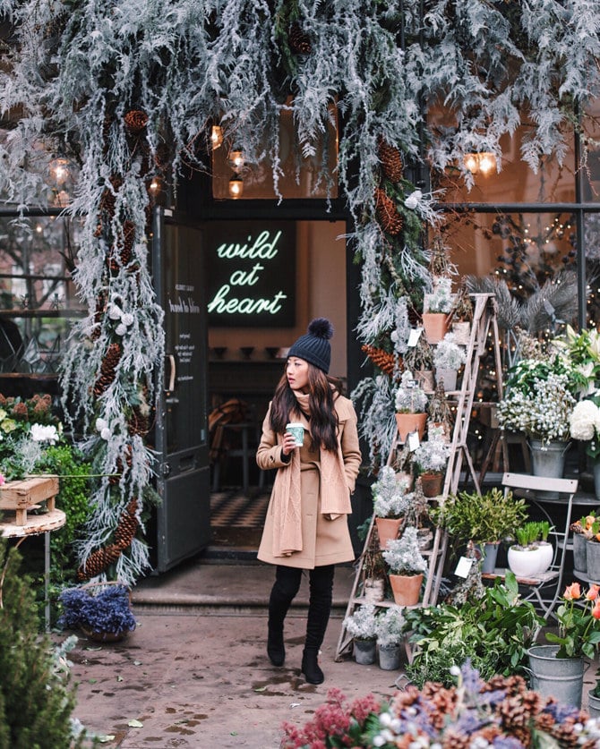 wild at heart london belgravia florist shop