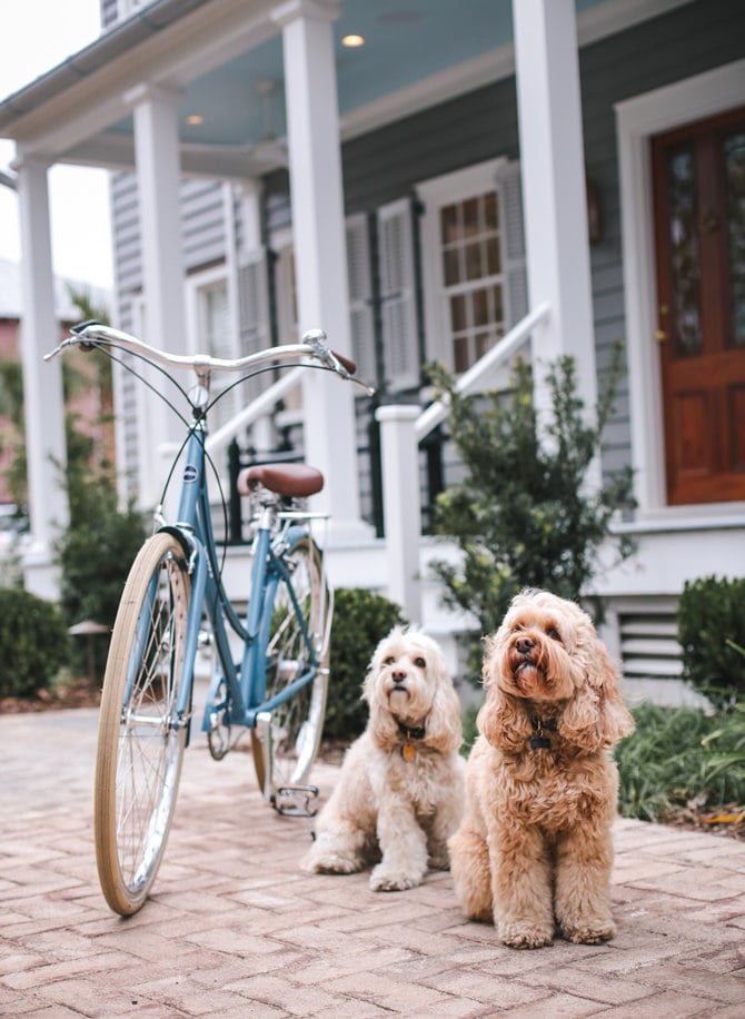 where to stay in charleston south carolina guide