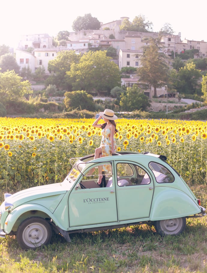 sunflower fields provence france loccitane vintage car