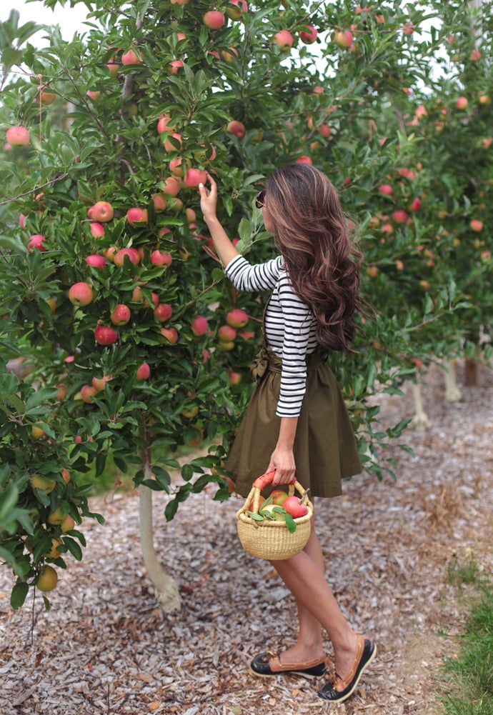 boston apple picking orchard what to wear