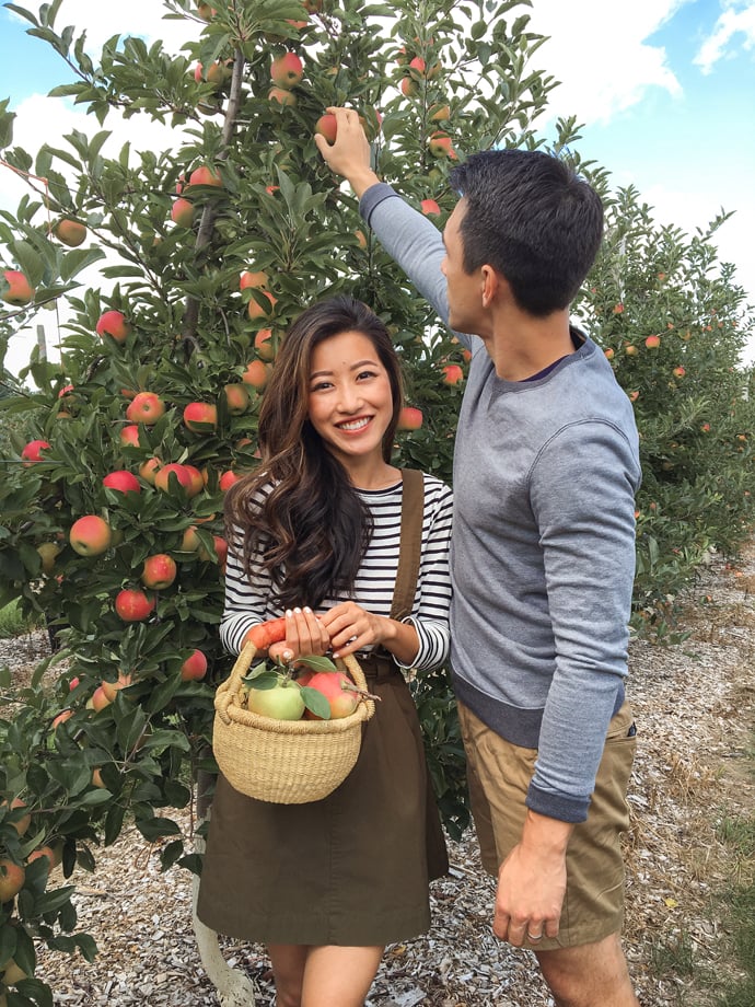 boston fall engagement photo ideas apple picking orchard