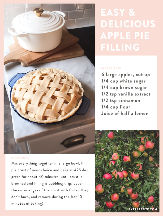 quick easy apple pie filling recipe