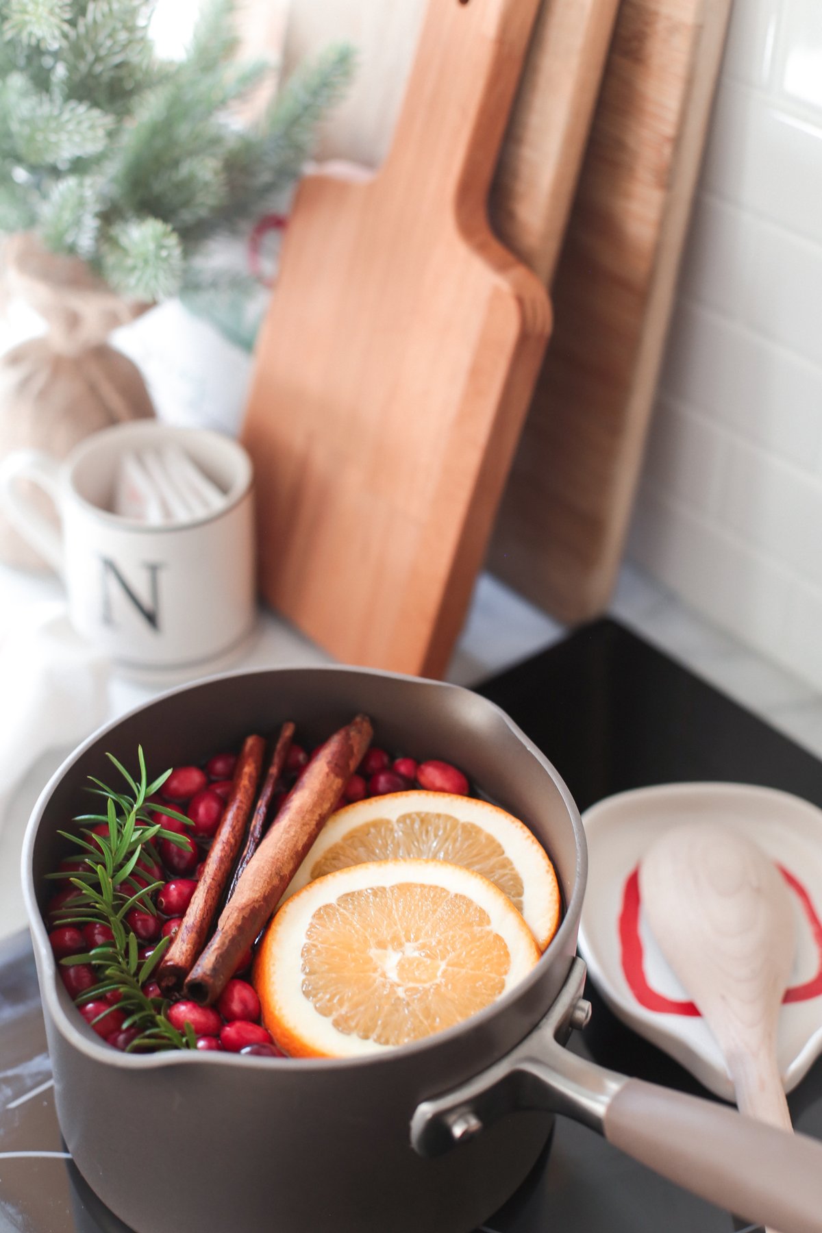 christmas stovetop potpourri instead of holiday candles