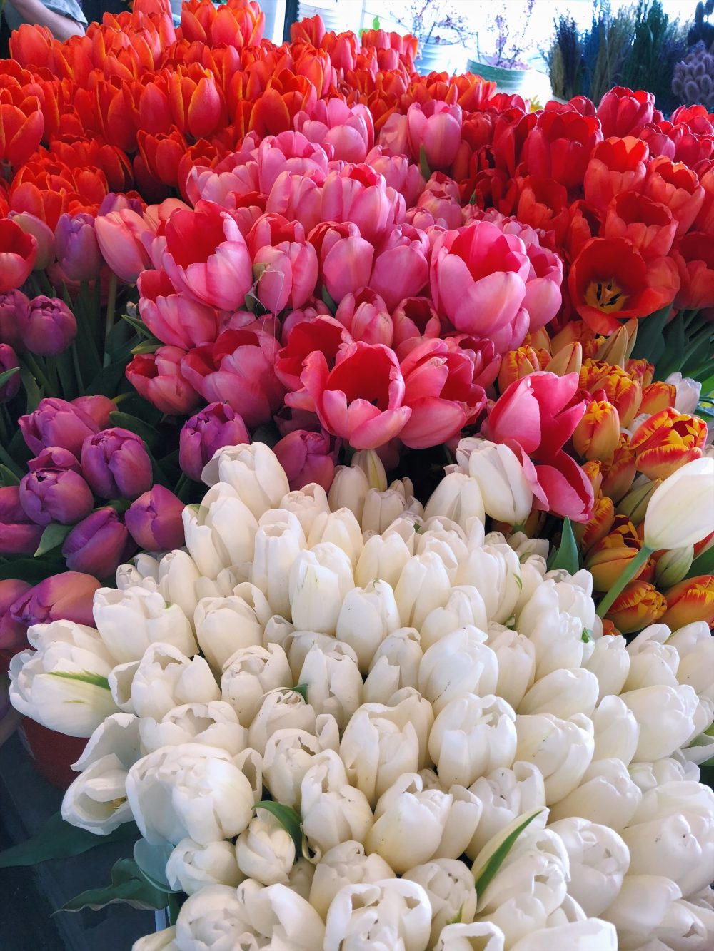 seattle tulip market pike place