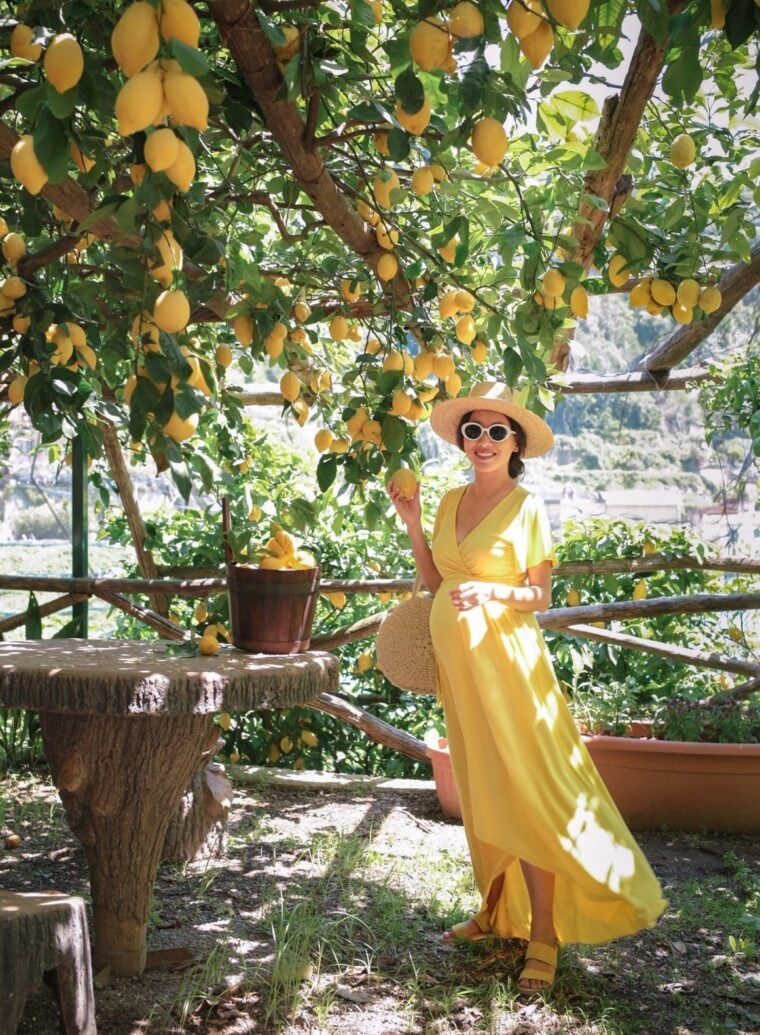 amalfi coast italy lemon grove tour