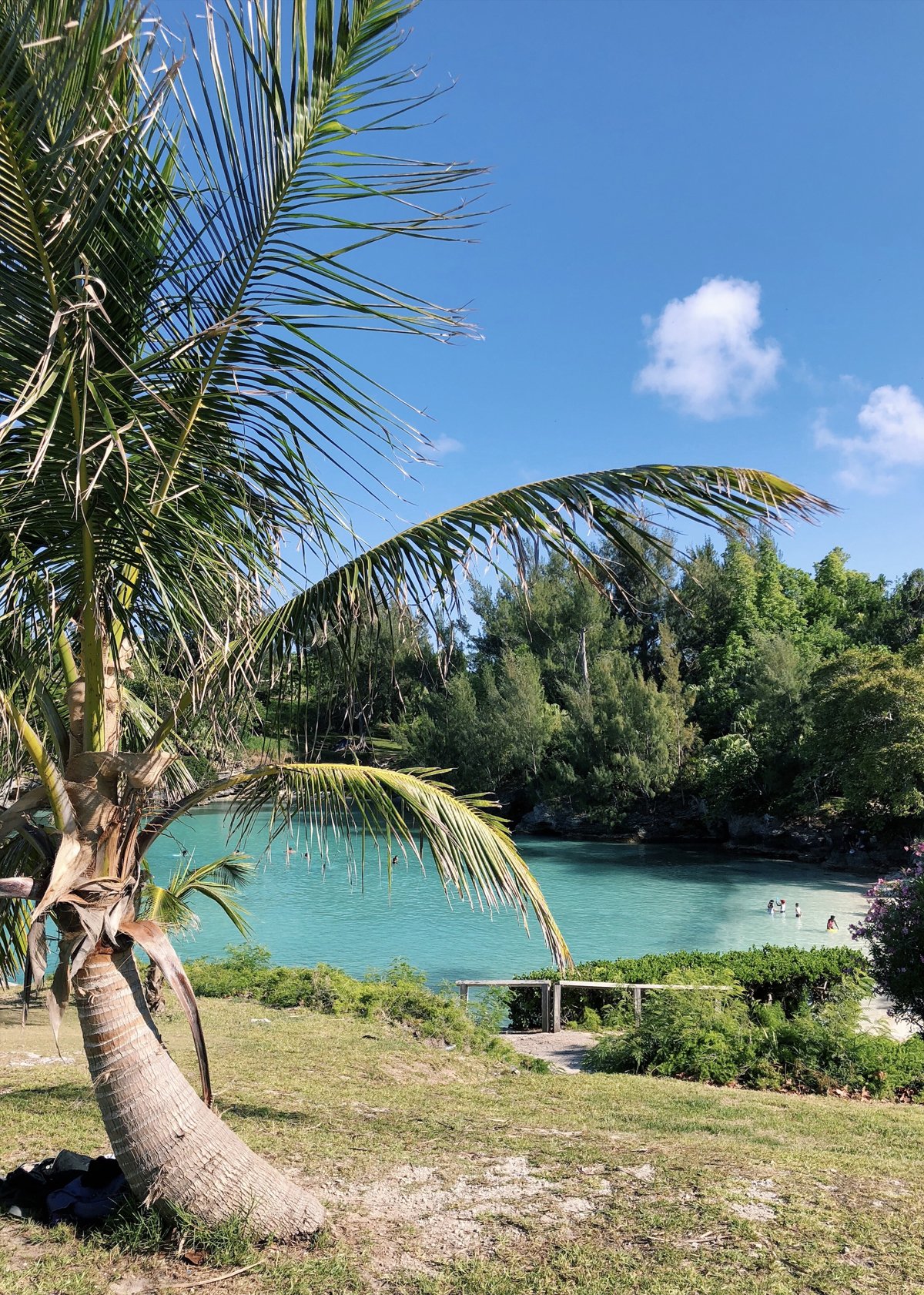 admiralty house park bermuda hamilton beach
