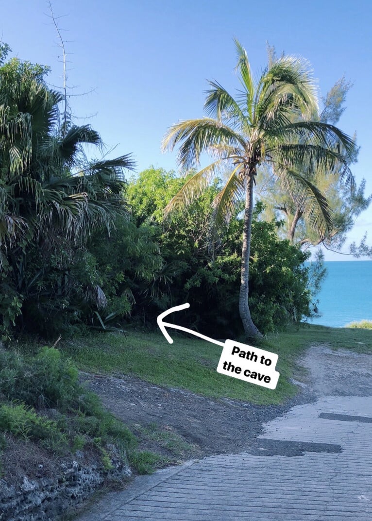 admiralty house park bermuda beach