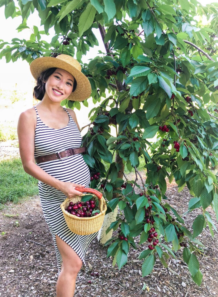 boston area farm cherry picking pick your own berries
