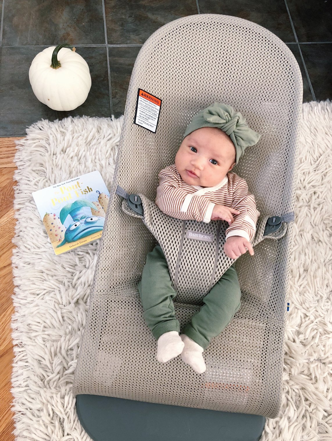 babybjorn newborn bouncer chair review