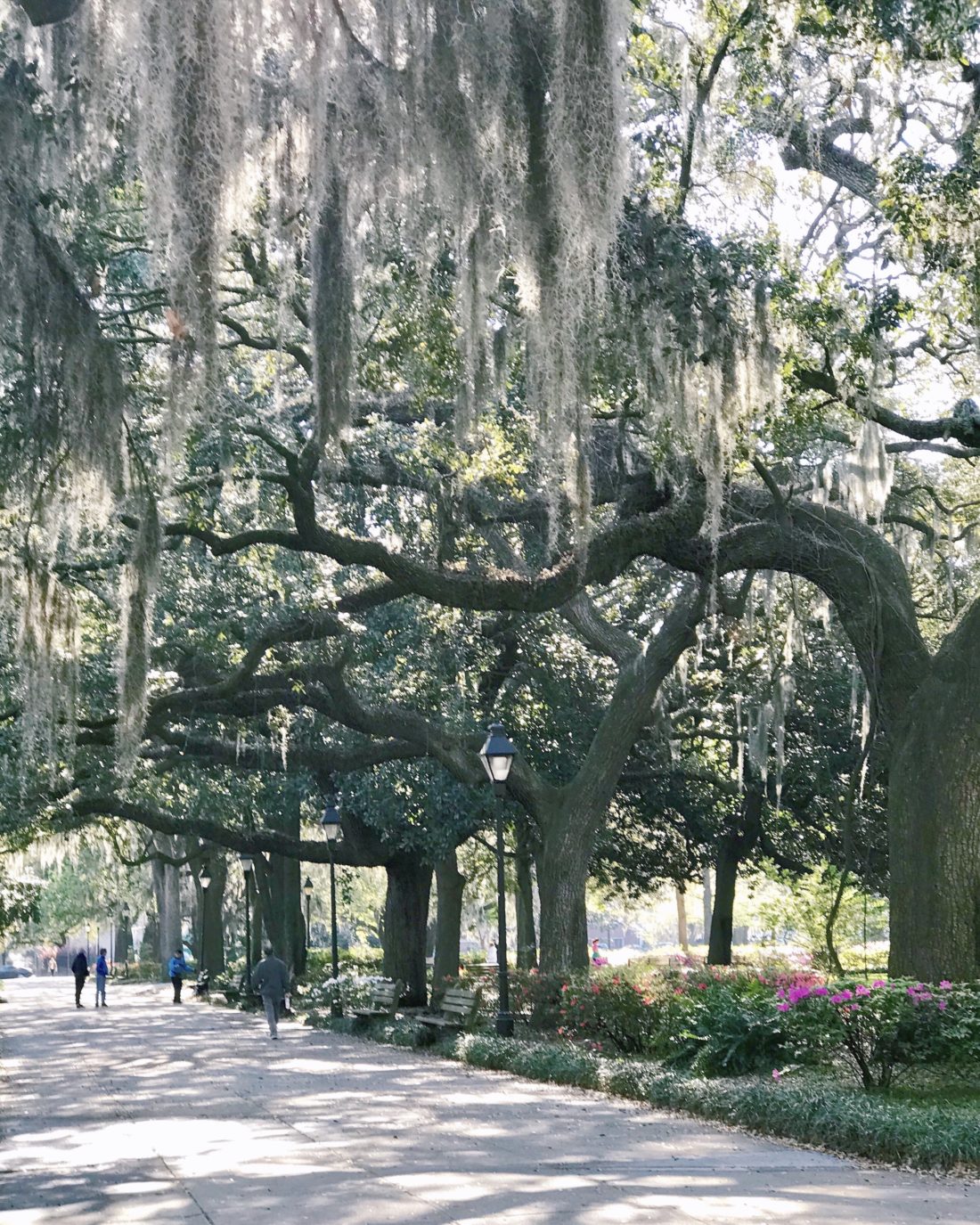 savannah georgia baby friendly travel guide