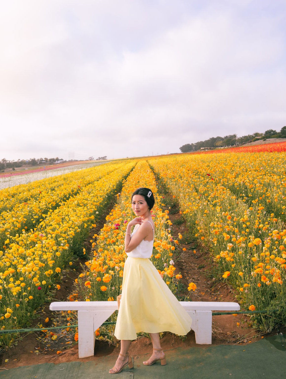 carlsbad flower fields uniqlo skirt petite