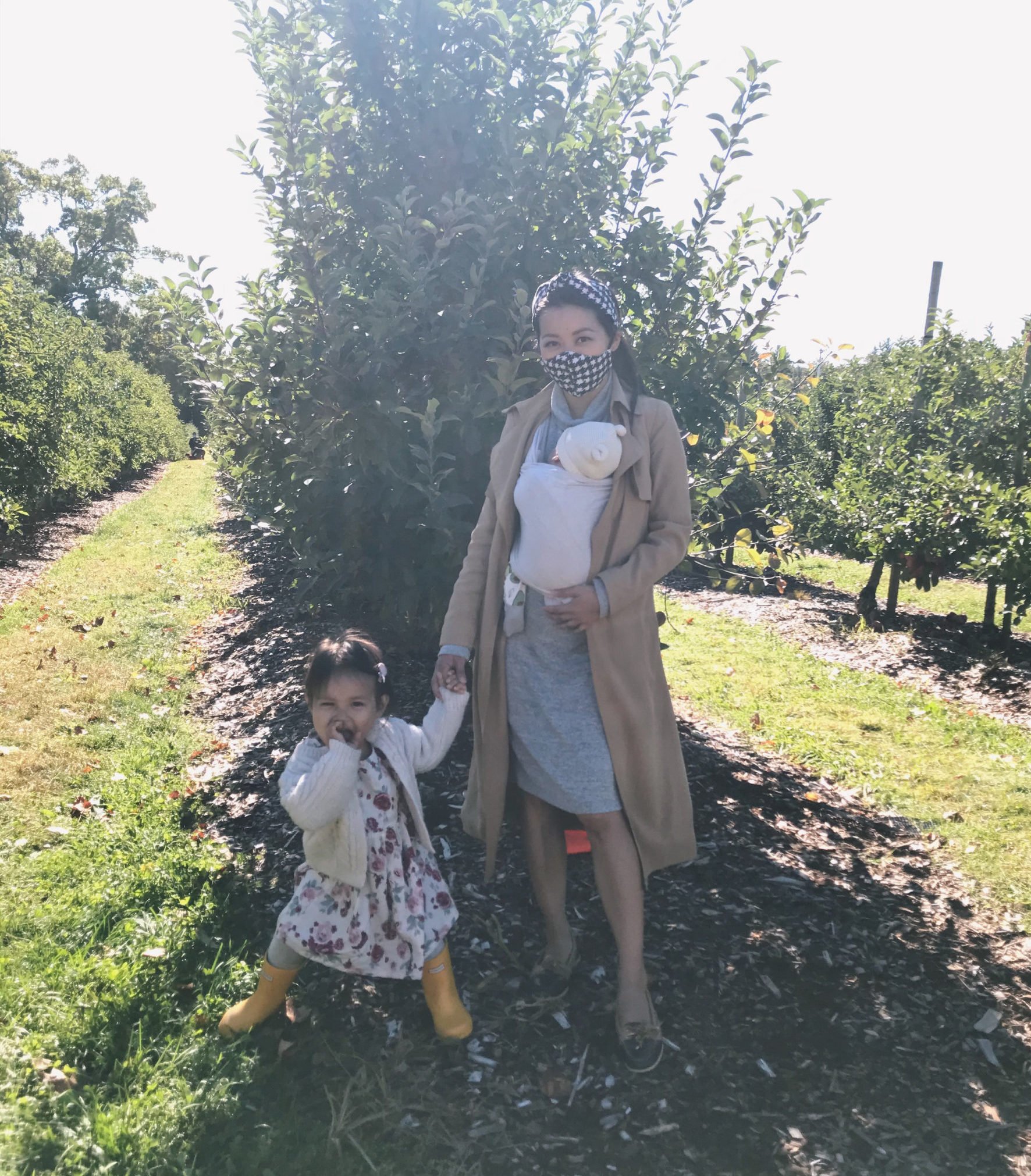 New England fall family outings