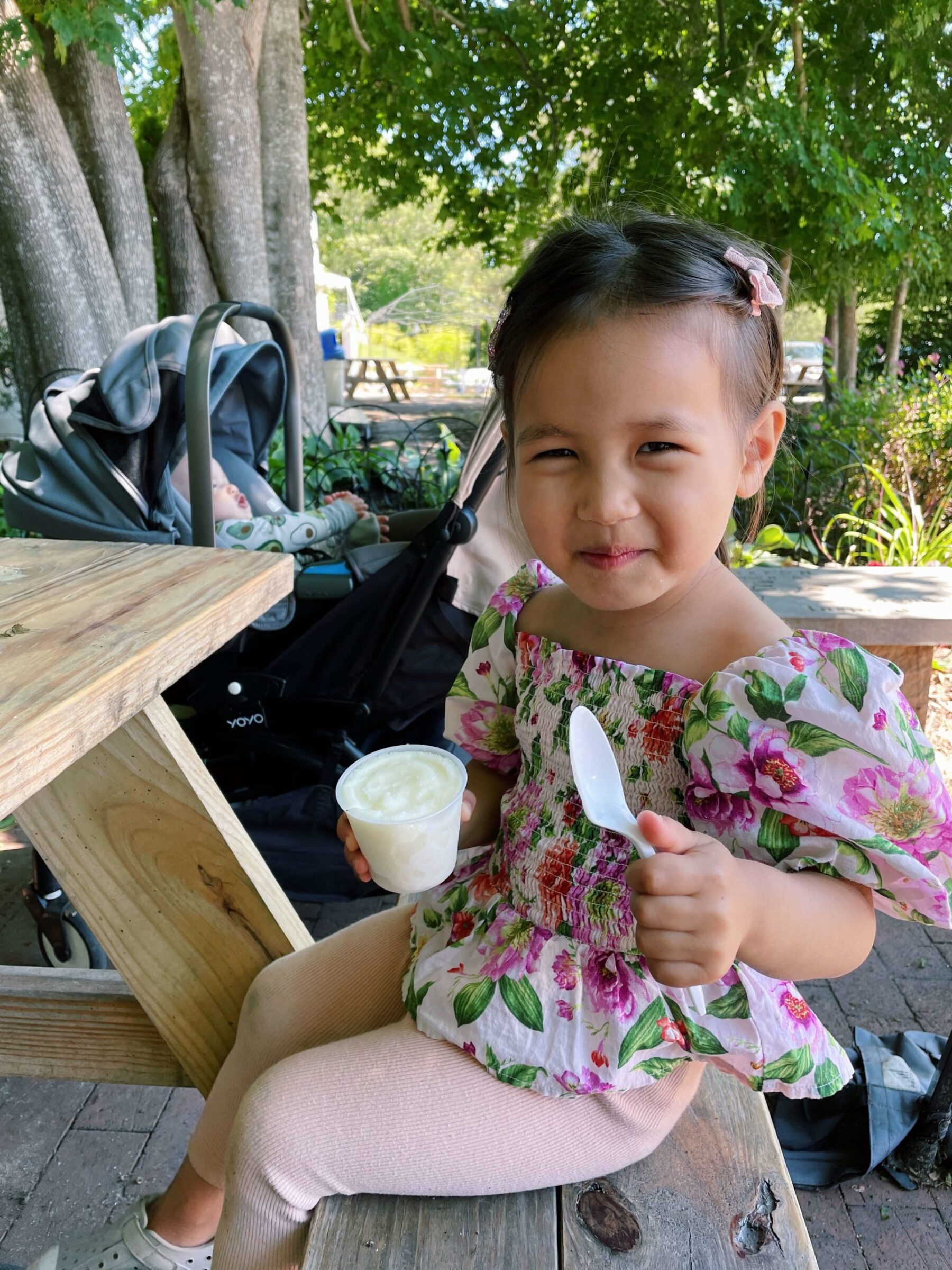 dairy free ice cream Hyannis