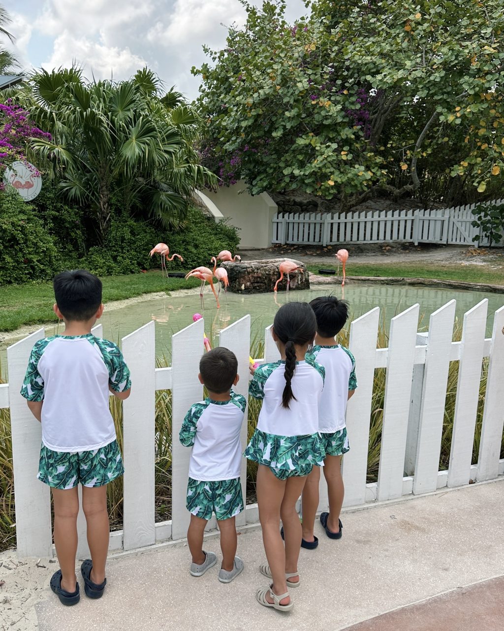 baha mar grand hyatt with kids review flamingo