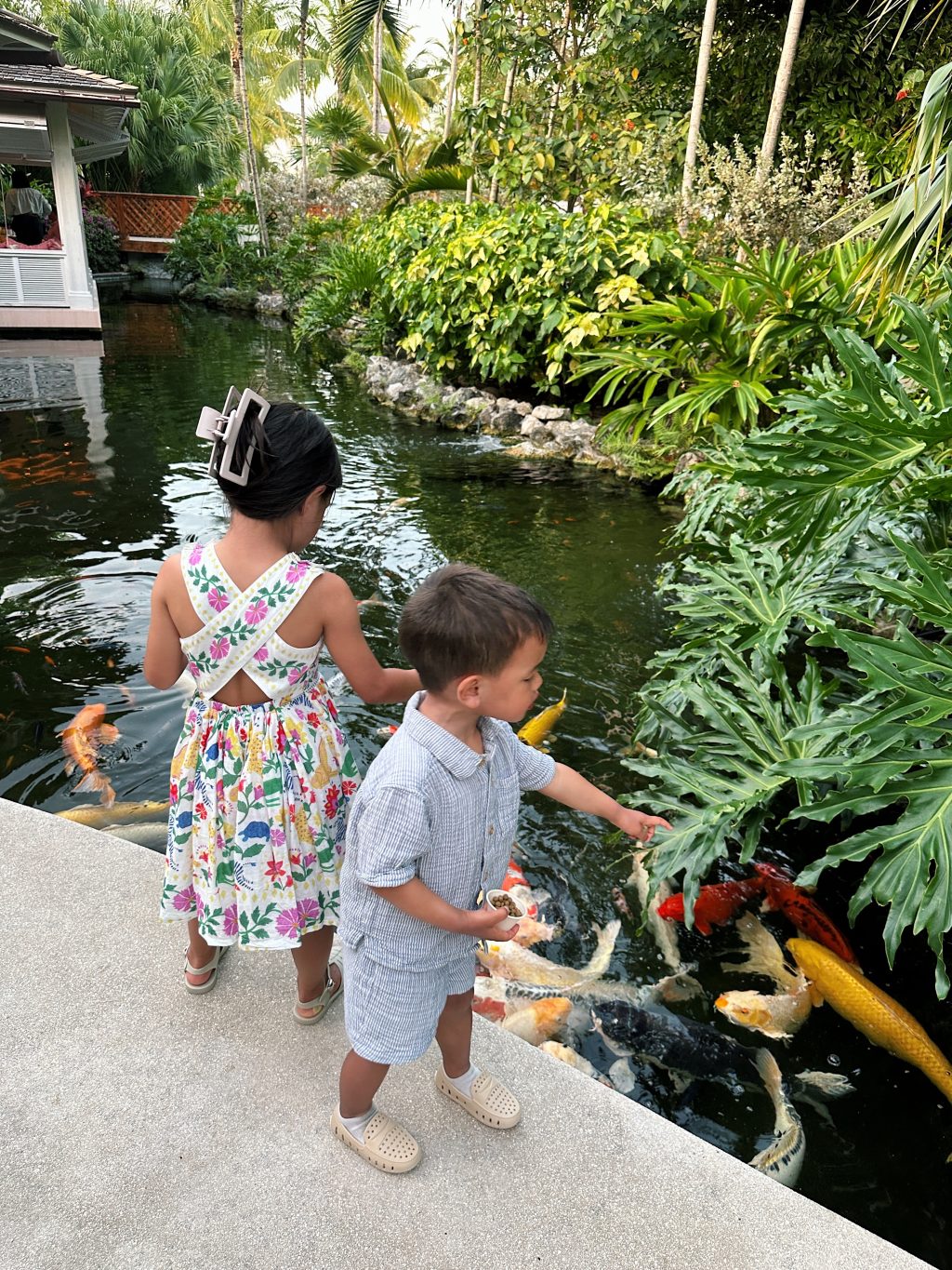 costa rosewood baha mar kids food allergies review